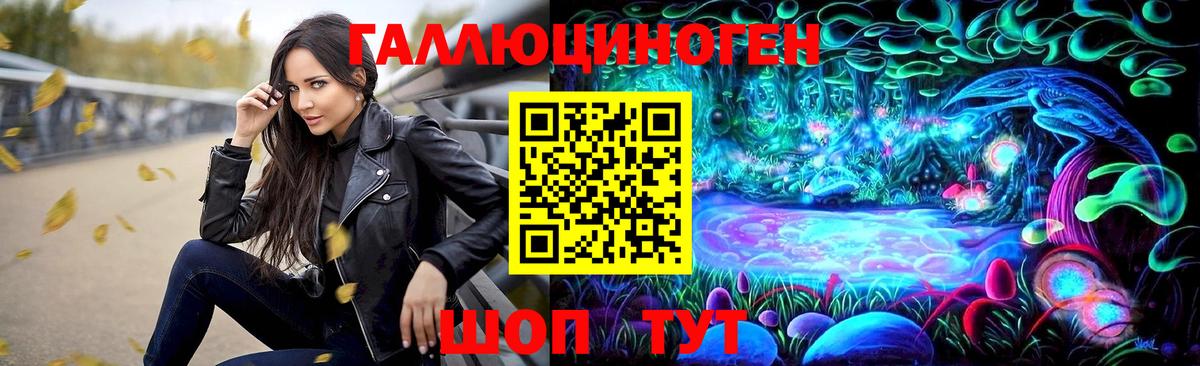 Галлюциногенные грибы мицелий Богданович